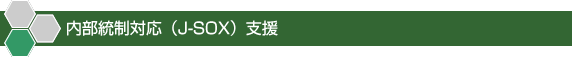 内部統制対応（J-SOX）支援