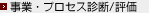 事業・プロセス診断/評価