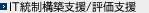 IT統制構築支援/評価支援